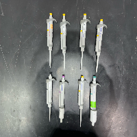 Eppendorf Research Plus Single Channel Pipettes - Quantity 8 image 2